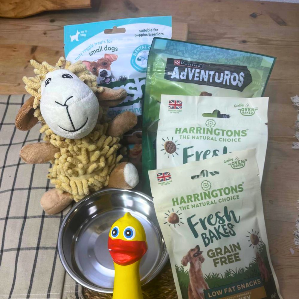 Dog Hamper, small lamb, rubber chicken and dog treats