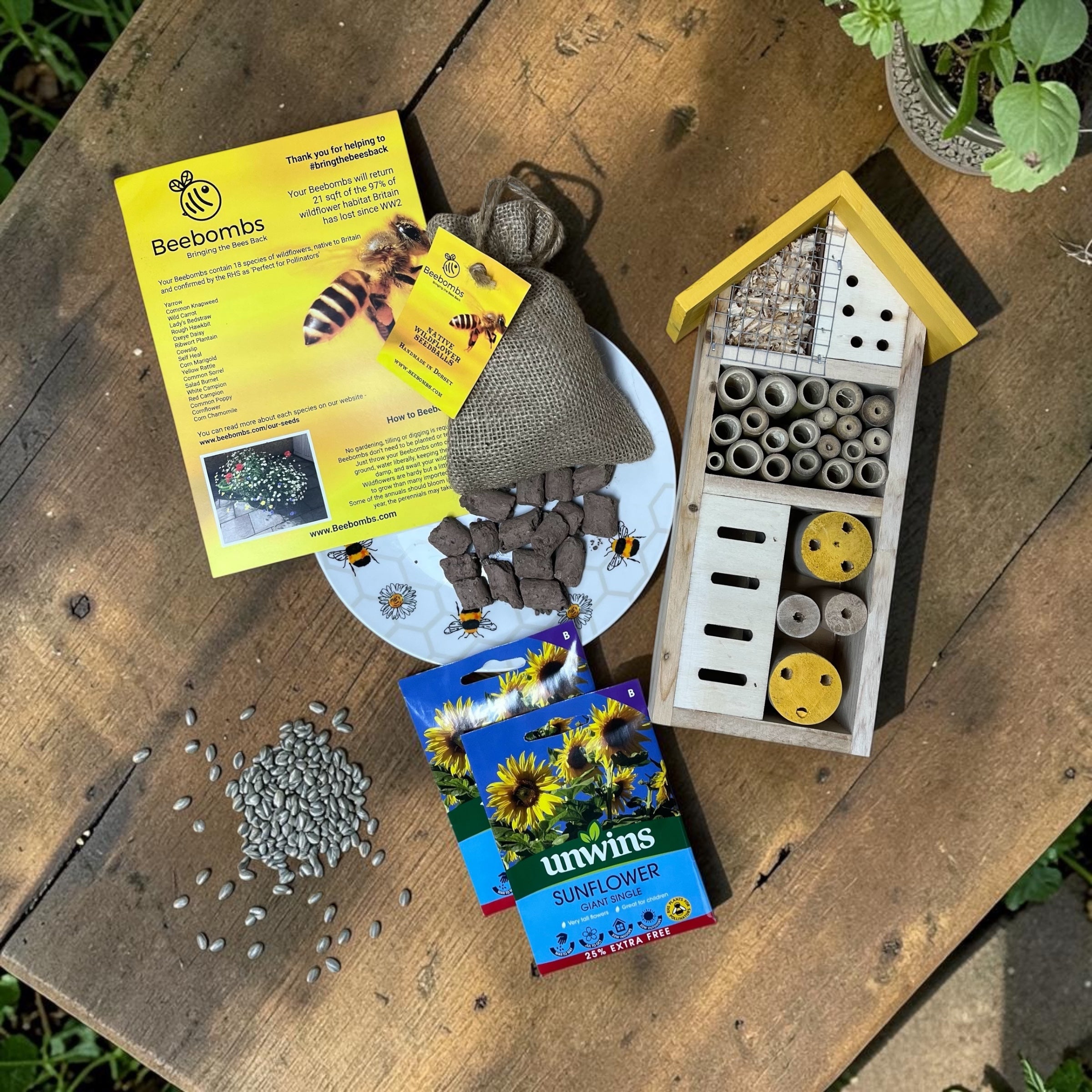 Love Bugs Nature Gift Box