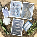 Three Sam Gabriel art prints arranged side by side with two small labels beneath them, decorated with scattered seashells and sprigs of greenery.