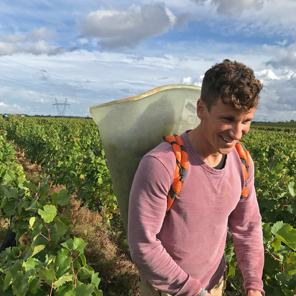 Man carrying a large green container on his back in a vineyard